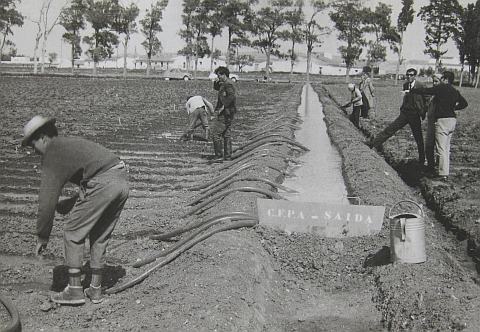 een landbouwvoorlichtingsproject in Tunesië, begin jaren zestig. Archief Ministerie van Buitenlandse Zaken